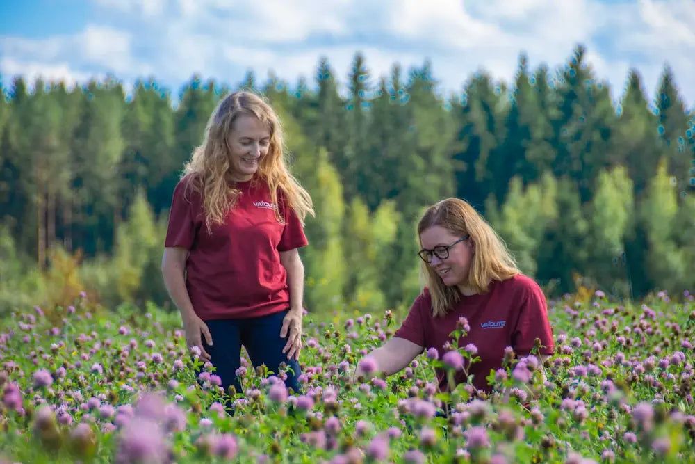 Vaicute tiimin naisia puna-apilapellolla, suomalaisen luonnonkosmetiikan valmistajia