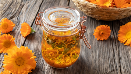 Kehäkukka ihonhoidossa – vaikutukset, tutkimus ja perinteinen käyttö