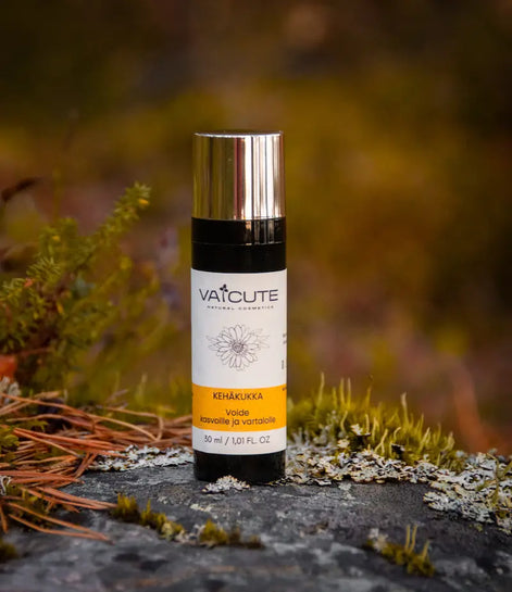 Vaicute kehäkukka kasvo- ja vartalovoide kiven ja sammalien päällä, suomalaista luonnonkosmetiikkaa