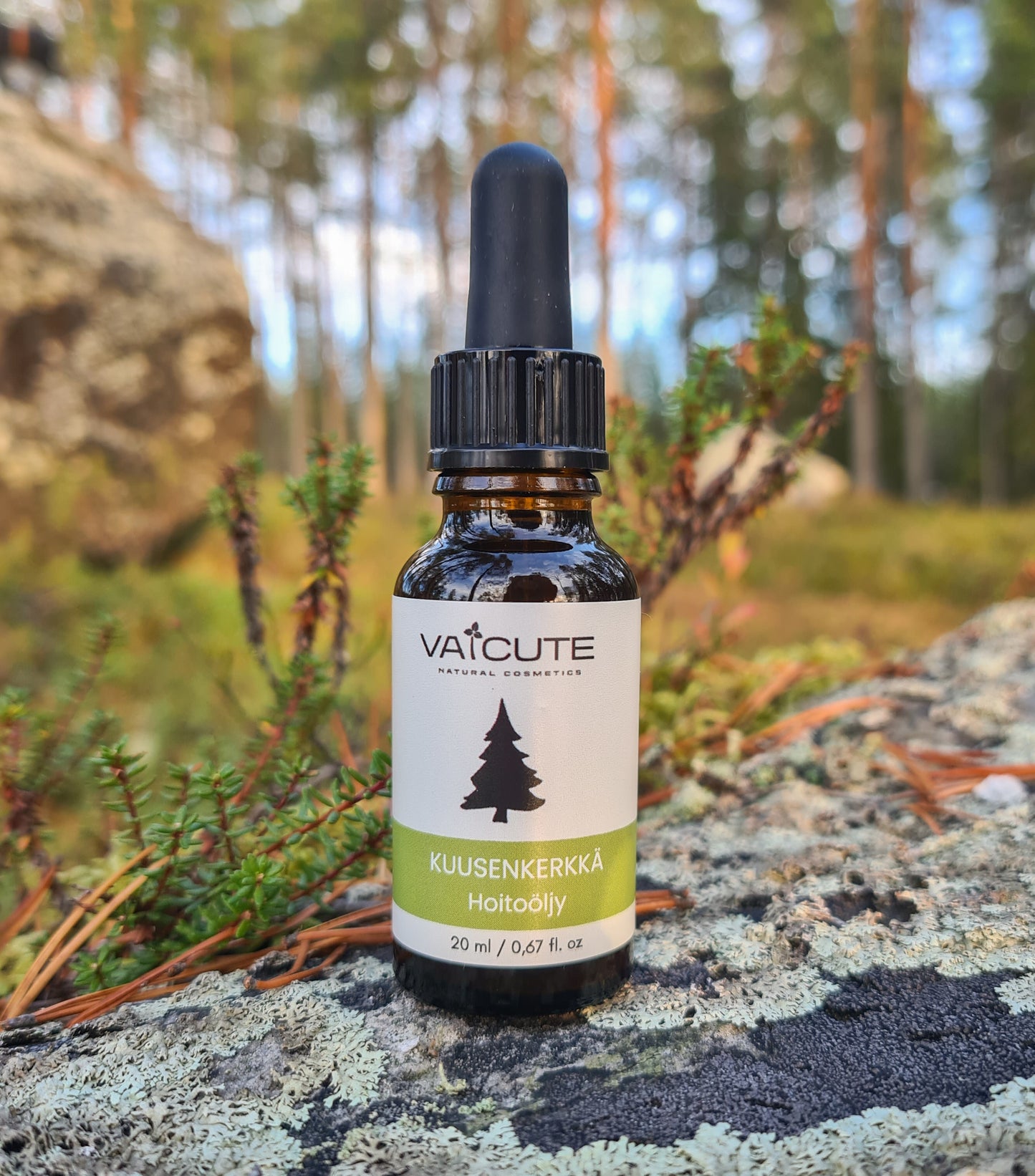 Kuusenkerkkä-hoitoöljy iholle (20 ml)