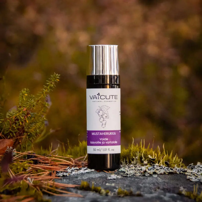 Vaicute Mustaherukka kasvo- ja vartalovoidepullo kiven ja sammalien päällä, suomalaista luonnonkosmetiikkaa