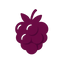 icon berry color #700577